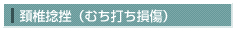 sec3_image